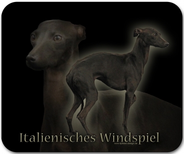 Mousepad Italienisches Windspiel (Piccolo Levriero Italiano) #3